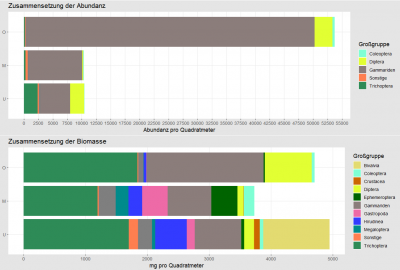 Der Graph (Zusammensetzung Biomasse)